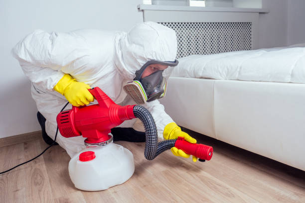 Professional Pest Control in Mount Olive, IL